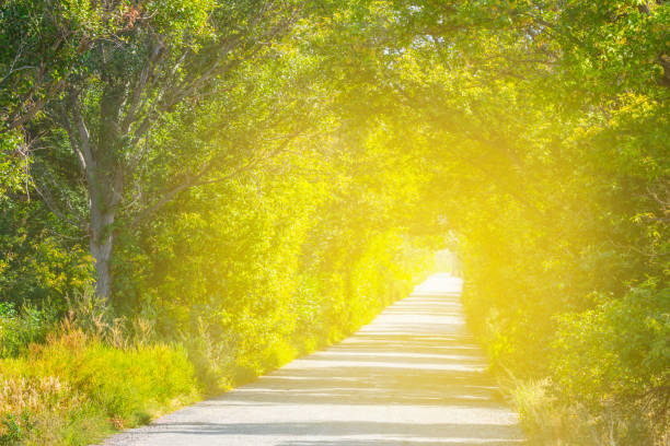 istock asphalt road at the sunny day 898894380