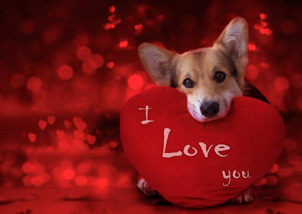 istock Happy Valentine's Day, my love. 898894732