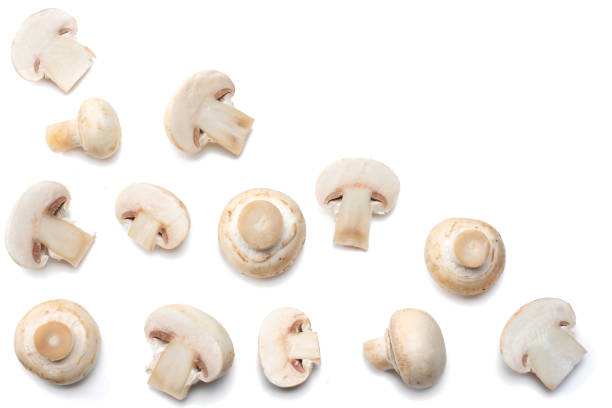 istock mushrooms isolated on white background. top view 898895256