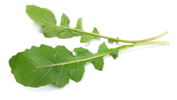 istock green fresh rucola leaves isolated on white background. Rocket salad or arugula. 898895270
