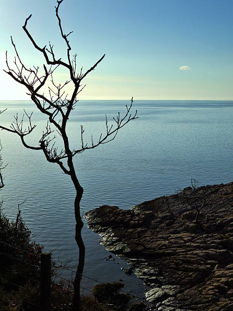 70+ Silverdale Lancashire Photos Stock Photos, Pictures & RoyaltyFree