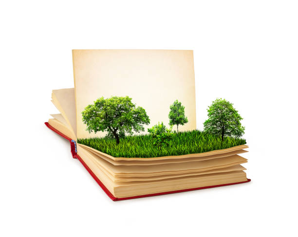 istock concept with a book. beautiful green landscape isolated 898902370