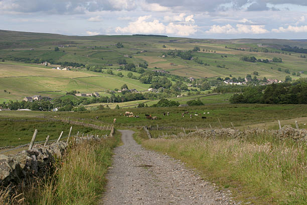 istock track in English countryside 89890238