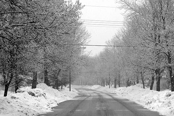 istock Peaceful snow-covered street in Winnipeg during a snow storm 89890626