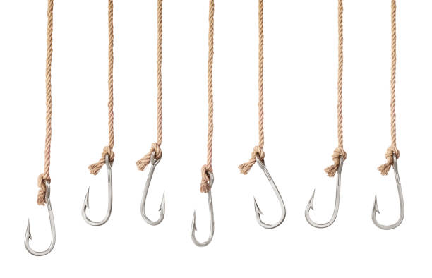 set of fishing hooks on the ropes isolated on a white background - mammillaria cactus imagens e fotografias de stock