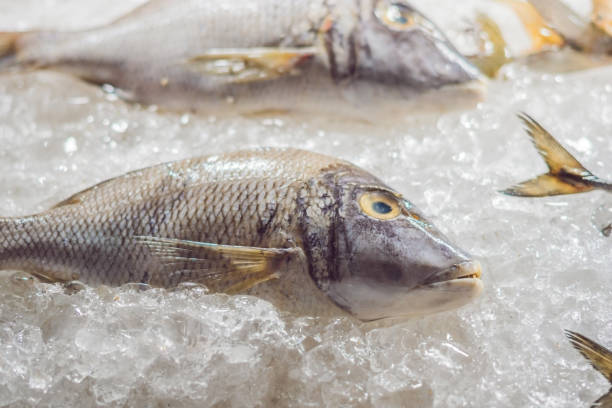 istock Fresh tasty seafood served on crushed ice, close-up 898908014