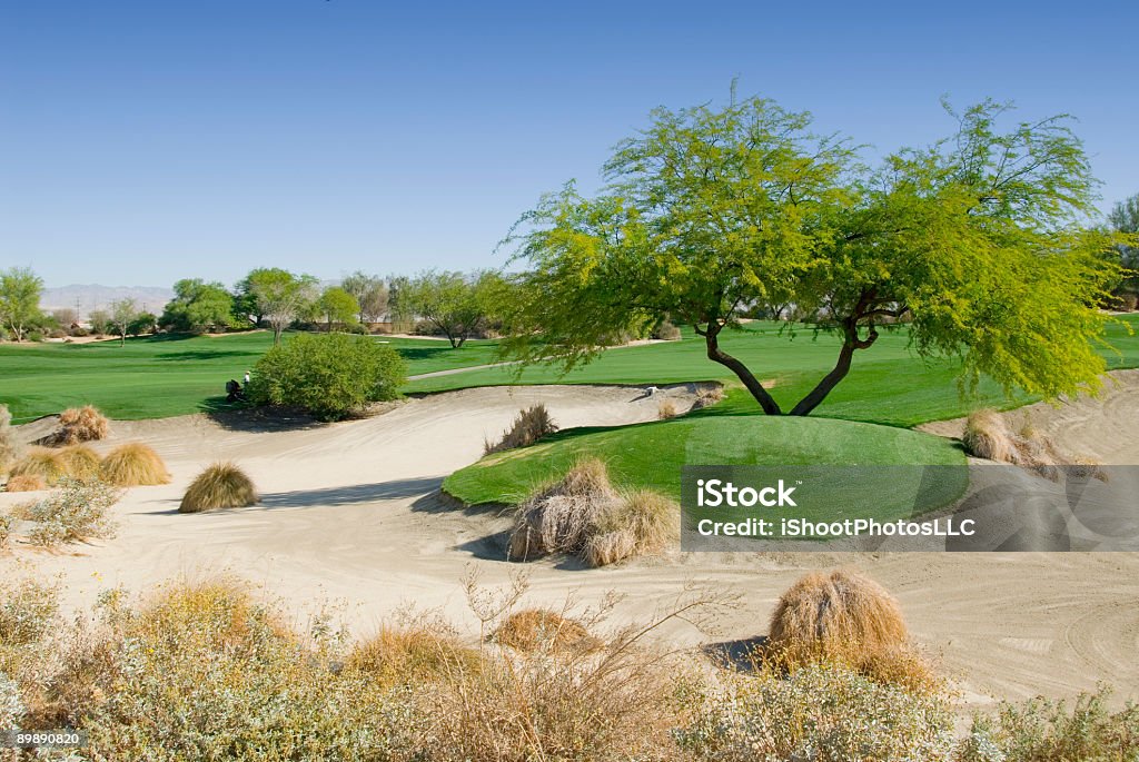 Desert Golf Course  Cactus Stock Photo