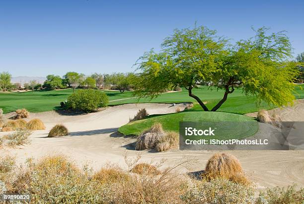 Desert Golf Course Stock Photo - Download Image Now - Cactus, Color Image, Desert Area