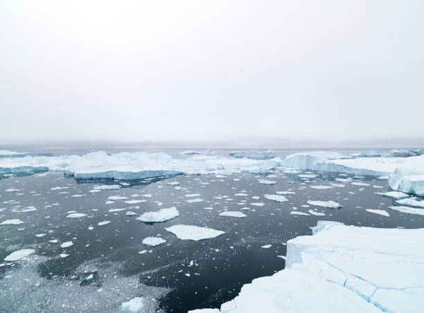 istock Arctic Icebergs on Arctic Ocean in Greenland 898911052