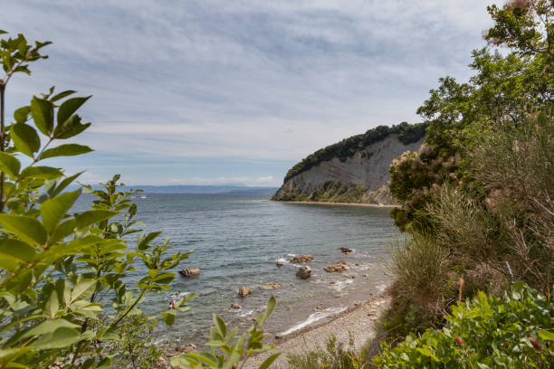 istock On the Slovenian Adriatic coast 898911652