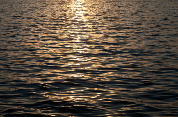 istock On the Slovenian Adriatic coast 898912352