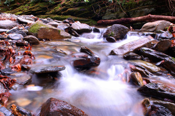 размытая река фото в лесу великих дымчатых гор. - water stream gatlinburg great smoky mountains national park стоковые фото и изображения