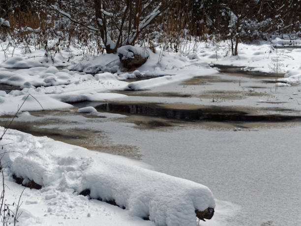 istock Frozen swamp in winter forest 898913198