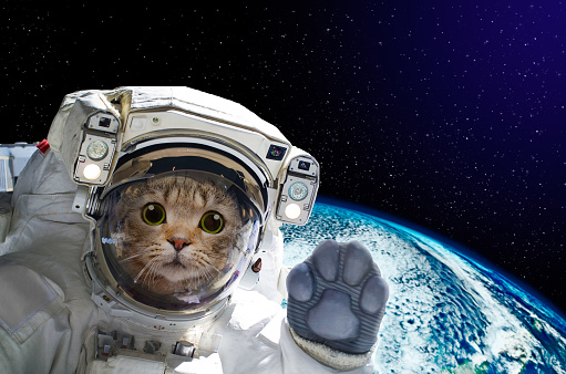 Astronauta en el espacio en el fondo del mundo en Cat. Elementos de esta imagen proporcionada por la NASA photo