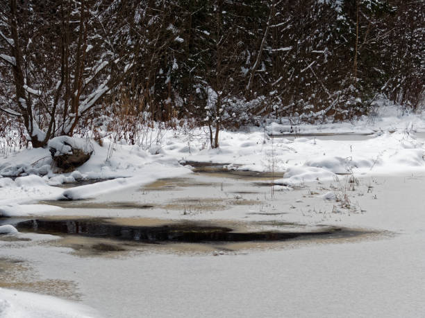 istock Frozen swamp in winter forest 898916142