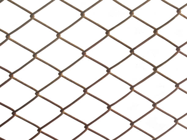 istock isolated the old netting grid on white background with clipping path 898917186