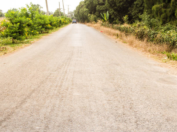 istock The road among the trees 898917434