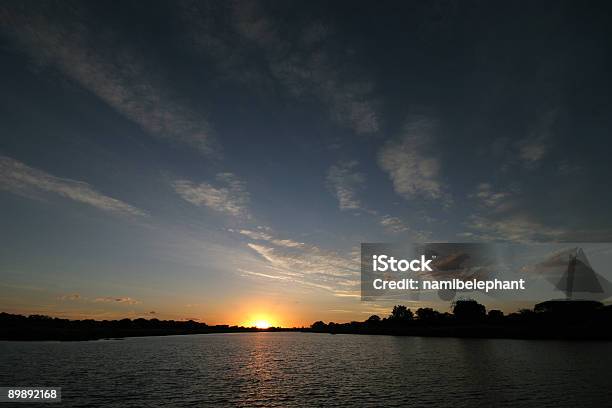 Photo libre de droit de Coucher De Soleil Sur La Rivière Sabie banque d'images et plus d'images libres de droit de Afrique - Afrique, Animaux de safari, Arbre