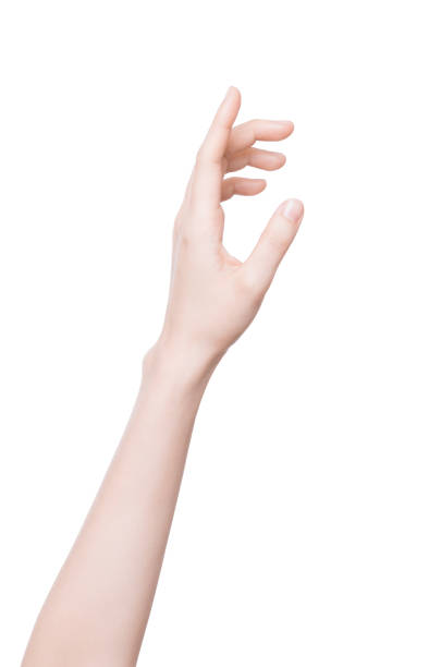 istock Female hand isolated on white background 898925016
