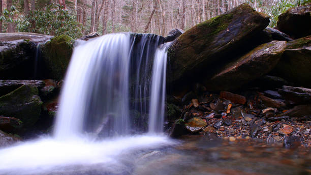 fotografia do queda lenta do obturador de velocidade de água na floresta americana. - gatlinburg waterfall smoke usa - fotografias e filmes do acervo