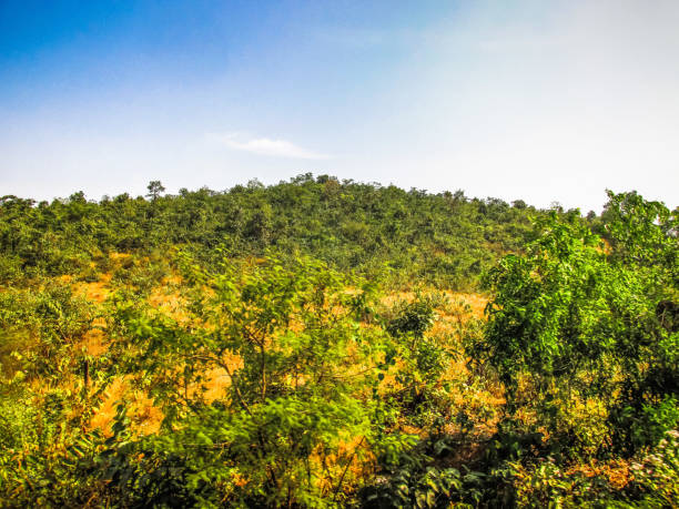 istock colors of India 898925426