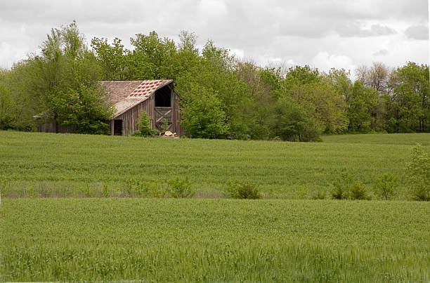 Old Barn stock photo