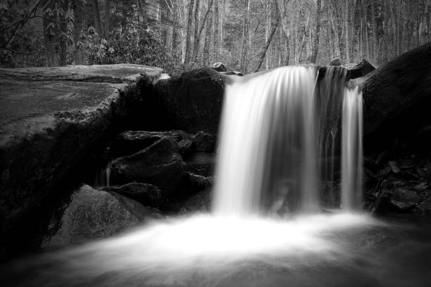 istock Waterfall with Moss Covered Stones in the Woods. 898925826