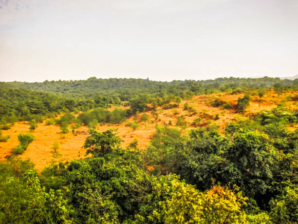 istock colors of India 898925946