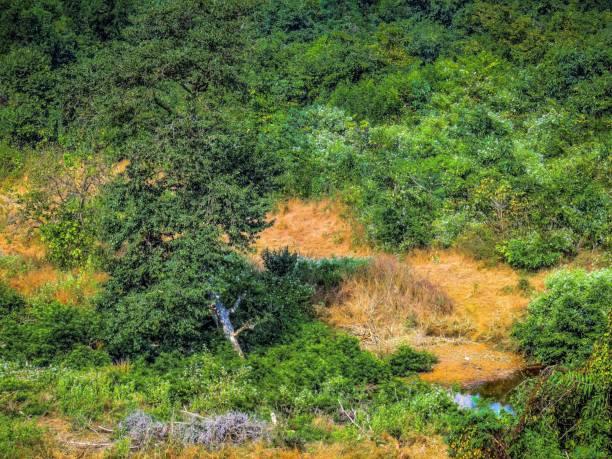 countryside of Maharashtra area in south India