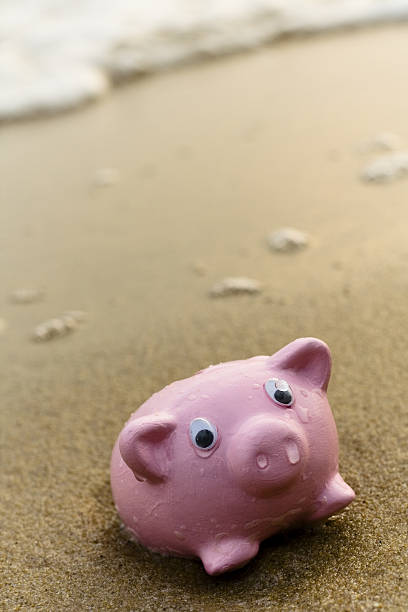 istock Beached Piggy Bank- Series 89892632