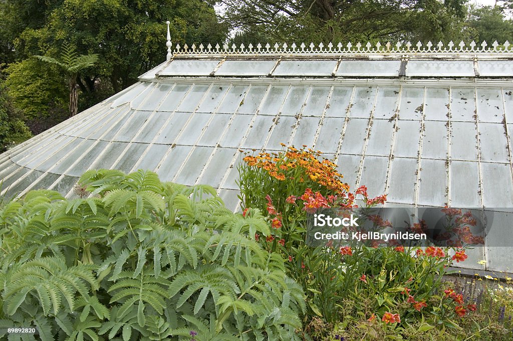 Vecchio fernery - Foto stock royalty-free di Ambiente