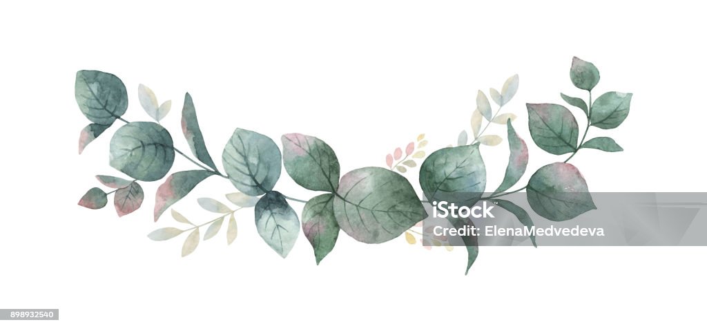 Aquarell Vektor Kranz mit grünen Eukalyptus-Blätter und Zweige. - Lizenzfrei Aquarell Vektorgrafik