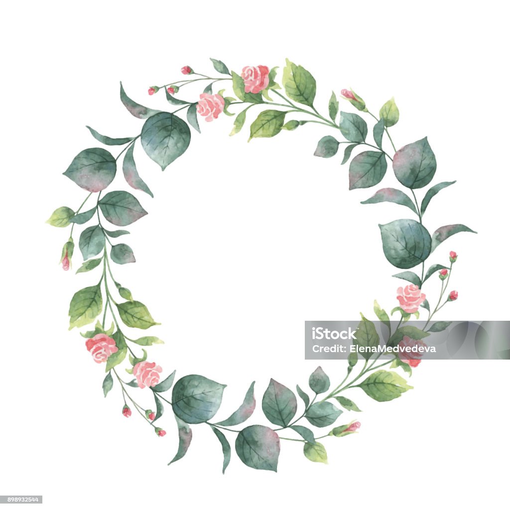 Vector aquarelle autour de couronne avec des branches et de feuilles d’eucalyptus. - clipart vectoriel de Couronne florale libre de droits