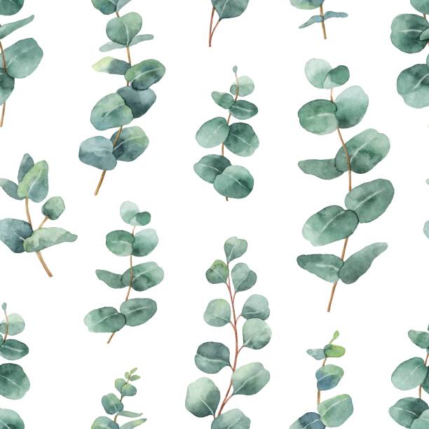 illustrations, cliparts, dessins animés et icônes de modèle sans couture aquarelle vector avec silver dollar eucalyptus feuilles et les branches. - field daisy vibrant color bright