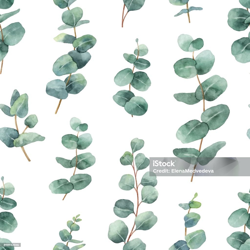 Watercolor vector seamless pattern with silver dollar eucalyptus leaves and branches. Watercolor vector seamless pattern with silver dollar eucalyptus leaves and branches. Background for textile, paper and other print and web projects. Eucalyptus Tree stock vector