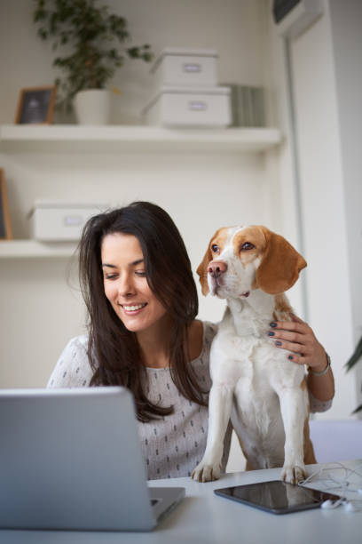 istock Woman sitting in home office with her dog. 898932626