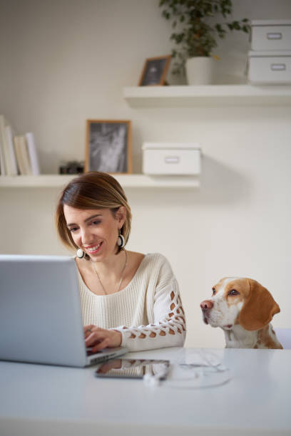 istock Woman sitting in home office with her dog. 898932642