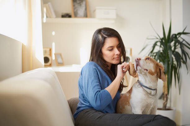 istock Woman playing with her dog 898932762