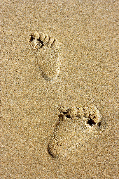 istock Little footsteps in the sand 89893796