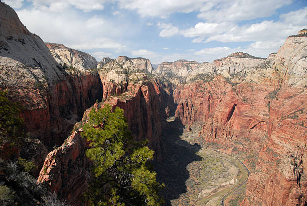 istock View of Upper Zion Canyon 89894099