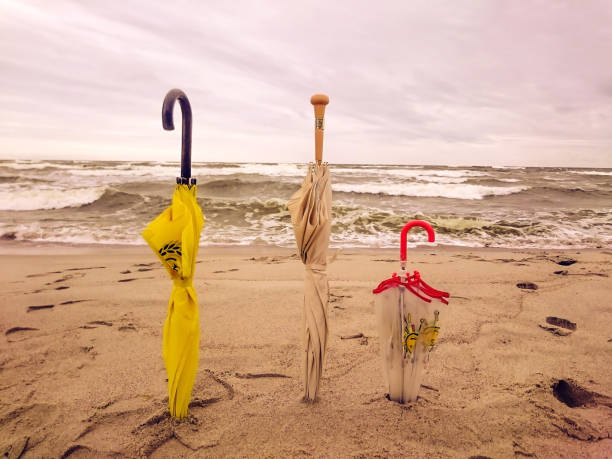 Umbrellas in clean sand on remote beach at rainy storm day, blurred background with horizon, overcast sky, coastline, ocean and copy space.