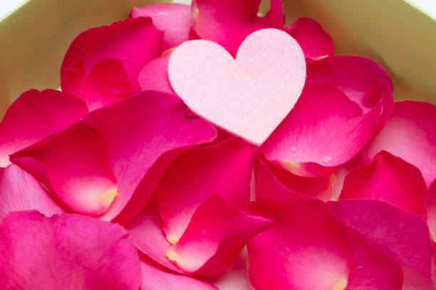 istock Roses flower with heat 898941252