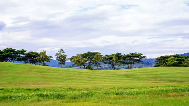 istock mountain range and meadow at Singha park Chiang rai, Thailand. 898941932