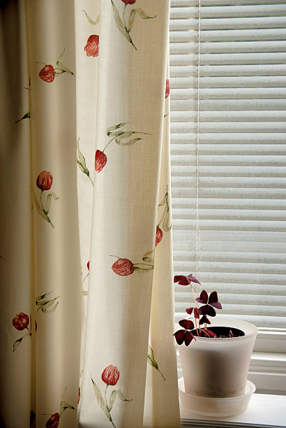 istock Window shaded with jalousie 89894315