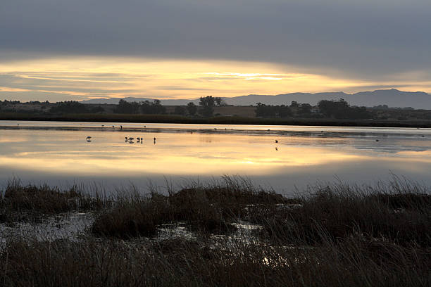 istock Sunrise over the Berg River 89894353