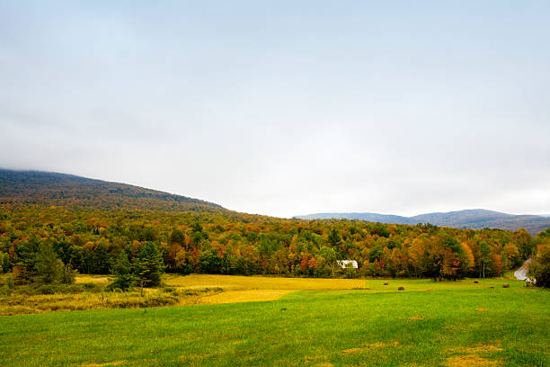 istock Farm House In The Woods 89894829