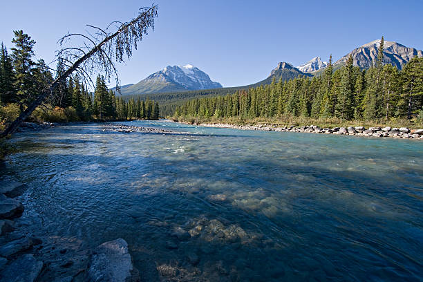istock Alberta, Canada, Canadian Rockies 89895017