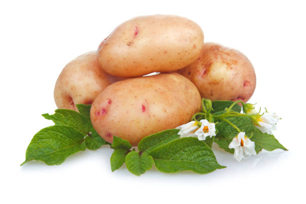 istock Heap of ripe potatoes vegetable with green leafs 898951586