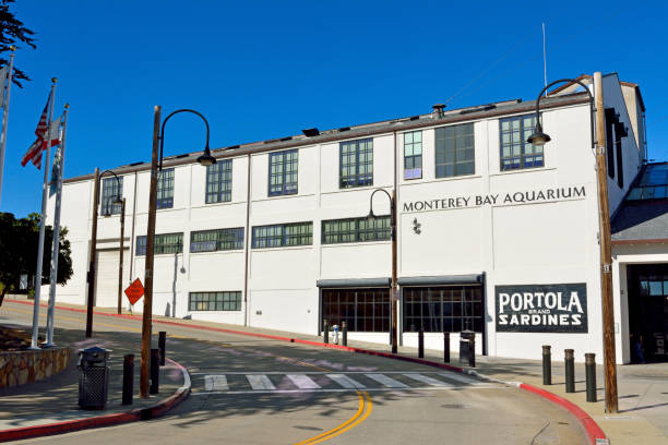 здание аквариума монтерей-бей в монтерее, калифорния. - monterey california monterey county cannery row стоковые фото и изображения