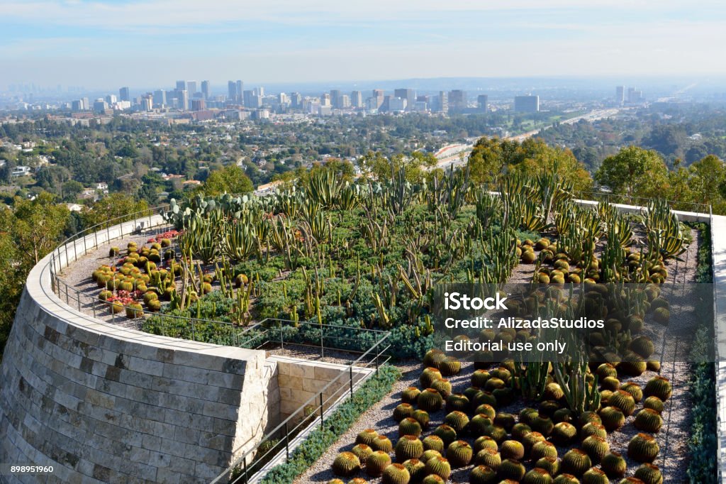 Widok na Ogród Kaktusów w Getty Center w Los Angeles. - Zbiór zdjęć royalty-free (Getty Center)